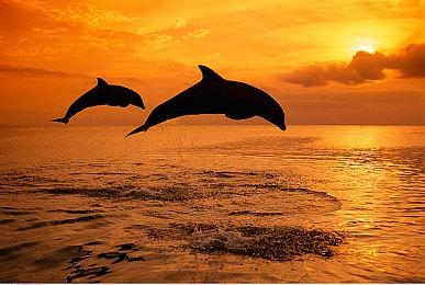 《祇：女神之道》PS4＆PS5版容量公开 7月17日预载